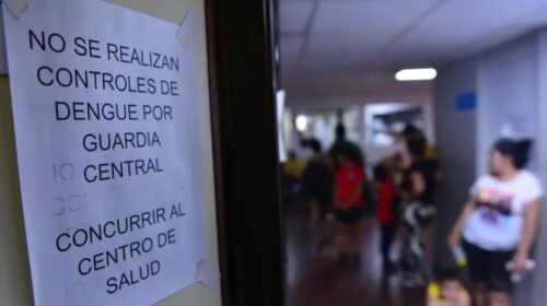 Epidemia. Qué se ve en las autopsias de las personas que mueren por dengue en Córdoba