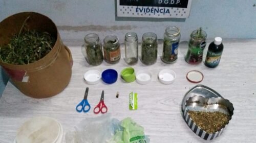 En Metán la Policía desbarató una boca de expendio de drogas