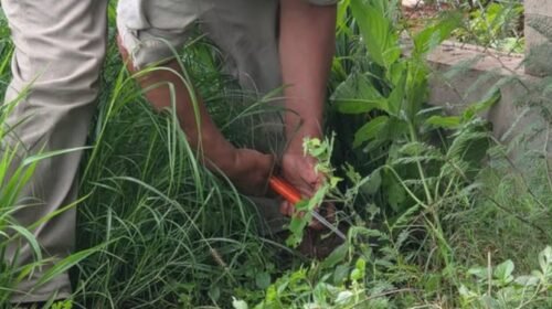 Coronel Moldes: clausuran una conexión clandestina de agua en el camping El Préstamo