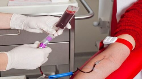 El móvil del Centro Regional de Hemoterapia estará este lunes en la Cruz Roja