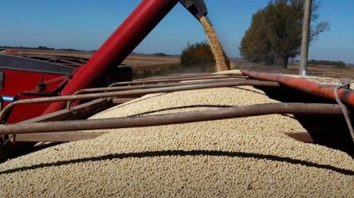 La soja subió en Chicago en una jornada con datos clave sobre la oferta y demanda mundial de granos