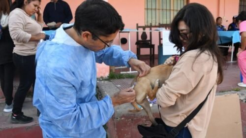 En Santa Lucía habrá un mega operativo de descacharrado y vacunación antirrábica