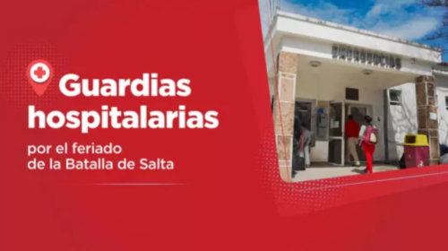 Cómo funcionarán los organismos de Salud Pública por el feriado de la Batalla de Salta
