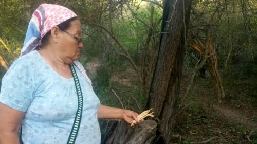 La Red Contra la Violencia Institucional pidió la liberación de dos integrantes de la comunidad wichi