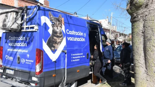 Vacunación antirrábica: así será el cronograma de la próxima semana