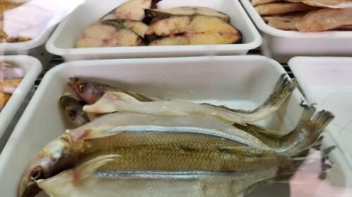 Cuaresma: sube la demanda de pescado en el Mercadito General Belgrano