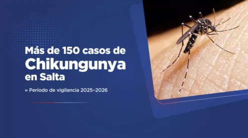 Salta supera los 150 casos confirmados de chikungunya en el actual período de vigilancia
