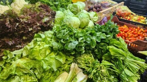 Mercado municipal: panorama de precios para planificar las compras de marzo