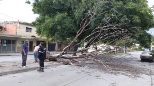El municipio despliega operativos para minimizar efectos de la lluvia