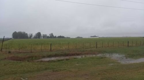 Lluvias dispares en zonas agrícolas: algunos puntos superaron los 90 milímetros