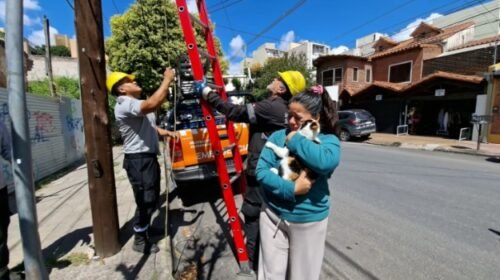 Seguridad Vial detectó e infraccionó a más de 120 conductores por Tolerancia Cero