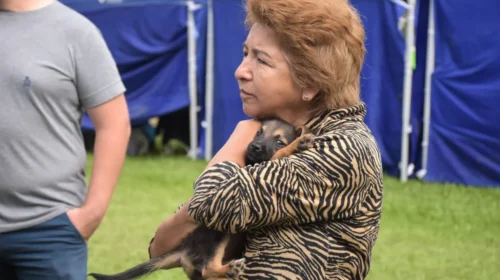Tres perros fueron adoptados durante la Medio Maratón New Balance en Salta