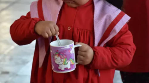 85.000 chicos de la primaria recibirán la Copa de Leche desde el primer día de clases