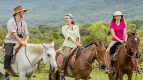 Salta recibió más de 650 mil visitantes y generó un impacto de $402.735 millones