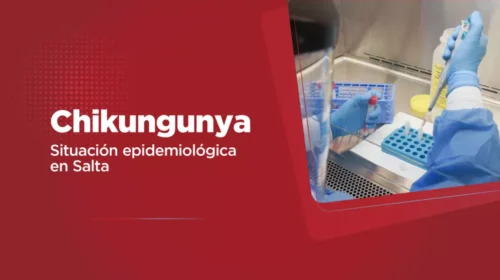 Salta reporta situación epidemiológica de chikungunya y mantiene medidas de vigilancia
