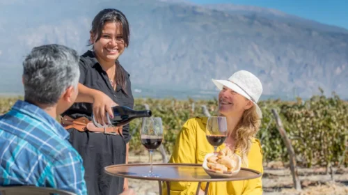 Salta se destaca en los premios Winexplorers al vino argentino 2026