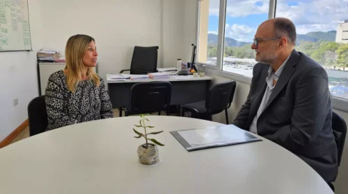 Refuerzan acciones contra estafas digitales que afectan a afiliados del IPS