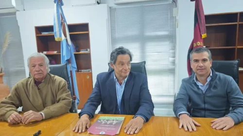 Salta será sede del principal concurso de Caballos Peruanos de Paso del país