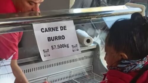 Furor en Trelew: se agotó la carne de burro en tiempo récord y anuncian degustación gratuita