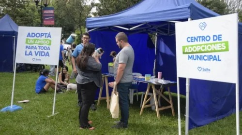 Habrá una feria animalera en el Campo de la Cruz con adopciones y servicios gratuitos