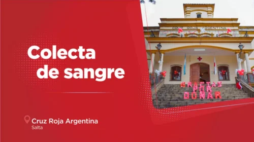 Colecta solidaria en la Cruz Roja: recibirán donaciones de sangre y registrarán voluntarios para médula ósea