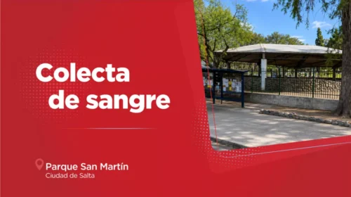 Realizarán una colecta de sangre y registro de donantes de médula ósea en el parque San Martín
