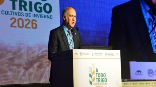 Trigo: el Gobierno prometió mayor competitividad y les pidió a los productores que siembren más