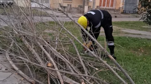 La Municipalidad asistió 25 incidentes provocados por el fuerte viento en la ciudad
