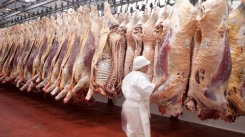 China reconoció a Brasil como país libre de aftosa sin vacunación: cómo impactará en el mercado exportador