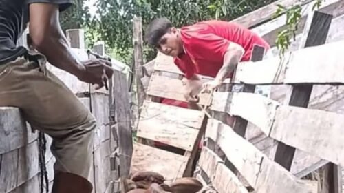 Detuvieron a un campesino tras una denuncia de Patricia Bullrich