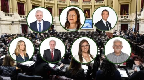 Salta volvió a votar en bloque con Milei: respaldo unánime al pago de fondos buitre y al Súper RIGI