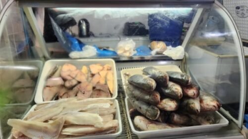 Pescado fresco y variedad en el nuevo anexo del mercado San Miguel
