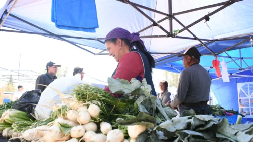 “El Mercado en tu Barrio” llega al Delmi con descuentos de hasta el 30% y servicios gratuitos