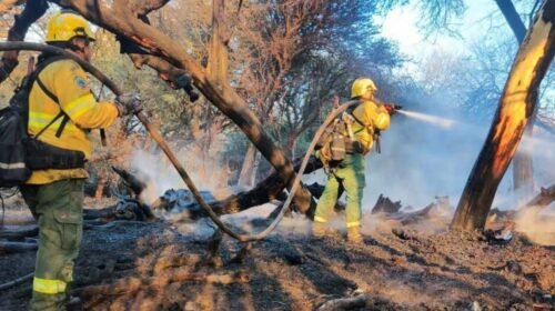 Preocupación en Cafayate: el fuego ya devastó más de 50 hectáreas