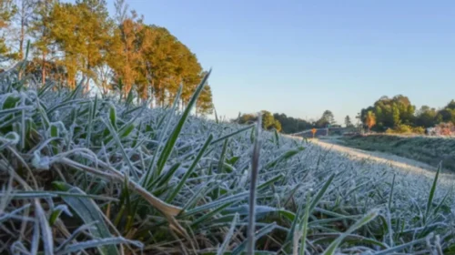 El invierno en Salta presenta niveles de humedad superiores a lo habitual, según un especialista