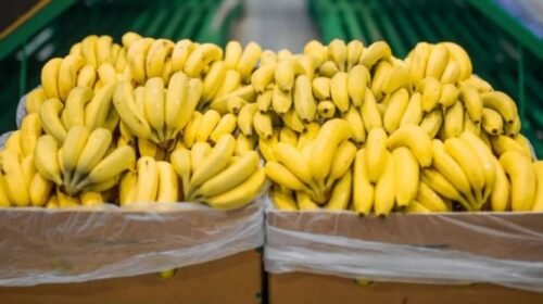 Salta solicitó a Nación una reunión para analizar la nueva normativa bananera