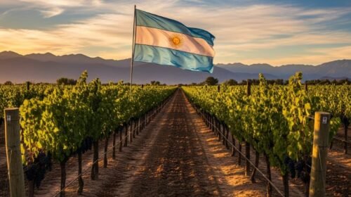 Desde Cafayate a la Patagonia: el vino argentino conquista nuevos terroirs y genera empleo en todo el país