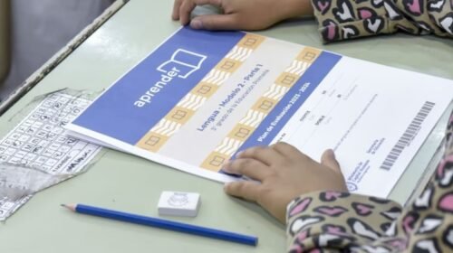 Pruebas Aprender: Los alumnos de primaria mejoran en Lengua, pero la mitad sigue reprobando en Matemática
