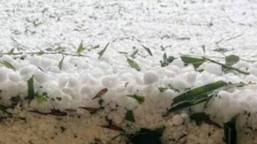 Granizo artificial  Que buscan los que lo producen y hacen este daño a la producción y vida ?