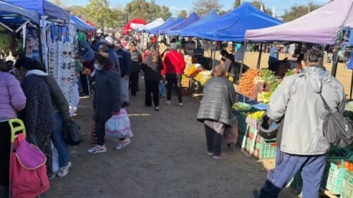 “El Mercado en tu Barrio” llega a la zona sur con precios promocionales y servicios