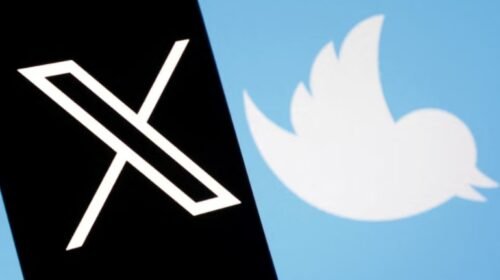 Chau a la marca X: Twitter regresa a su clásico diseño del pájaro azul sin el control de Elon Musk