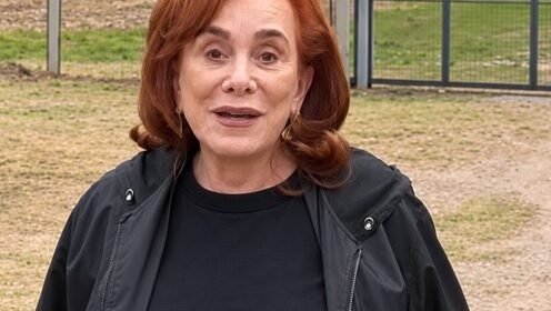 Cristina Guzmán abre otra caja negra en Jujuy: cinco naves, cannabis, tierras públicas y una cadena de autorizaciones que nadie termina de explicar