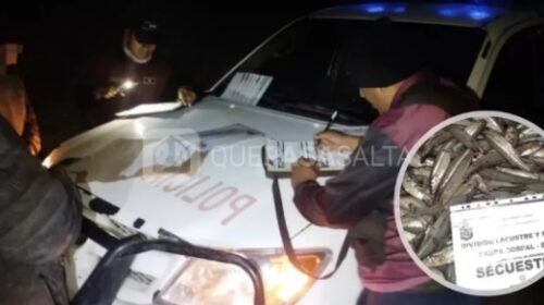 Secuestraron 1.570 pejerreyes y 350 metros de redes en Salta: tres pescadores fueron demorados