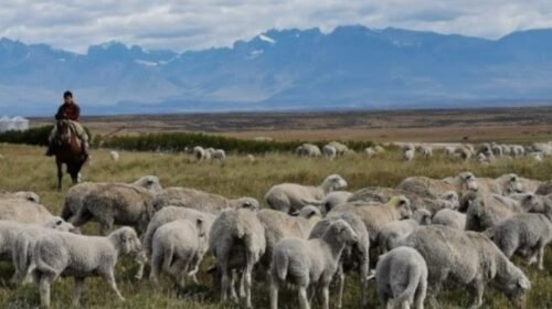 La Corte Suprema ratificó el decreto del Gobierno que habilita la compra de tierras a extranjeros sin restricciones
