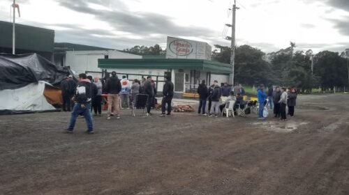 Ollas populares y familias que se van: el drama social que generan 700 despidos en Granja Tres Arroyos